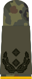 Oberstleutnant (Army reconnaissance)