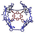 An example of a host–guest chemistry[9]