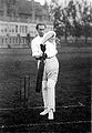 American cricketer Bart King