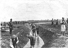 Men and women digging in a water-filled ditch