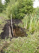 Site d'extraction de la tourbe.