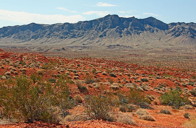 Muddy Mountains, Nevada, Nord-Est de Las Vegas