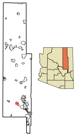 Location of Clay Springs in Navajo County, Arizona.
