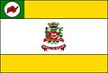 Bandeira de Novo Horizonte