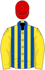 Yellow and royal blue stripes, yellow sleeves, red cap