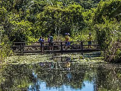 Um das pontes presentes no parque na trilha da lagoa.