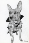 Hand-drawn portrait of a dog wearing a flannelette coat.