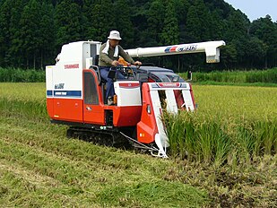 A small-scale rice combine harvester in Japan