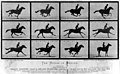 Image 3Eadweard Muybridge's The Horse in Motion cabinet cards utilized the technique of chronophotography to study motion. (from History of film)