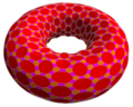 taH24×8 projected to torus