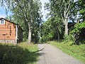 Ancien sentier de Vallisaari.