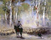 Droving in Australia