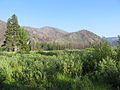 Warm Springs Meadow in White Cloud Mountains