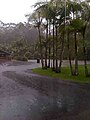 Australia Zoo kangaroo exhibit flooded.