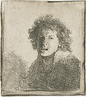 B13, 1630, state 3/3, one of van de Wetering's "studies in expression".