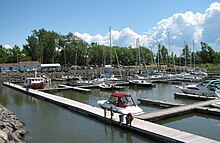 Un port de plaisance par beau temps avec des arbres à l'arrière-plan.