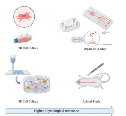 Cell culture-fig