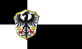 Drapeau de Gemünden