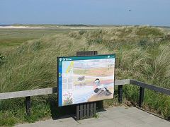De Slufter, a nature reserve on Texel