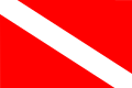 Flagge von Linschoten