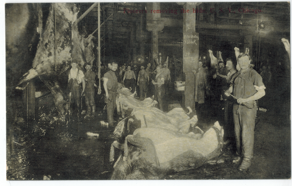 Floorers removing the hides USY Chicago (front)