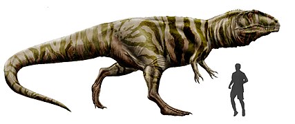 Giganotosaurus