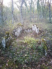 Dolmen de Leï Barto