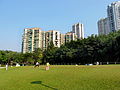 Central Lawn