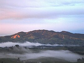 Maungatautari viewed from the north with mist rising around the conical mountain.