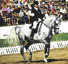 Mon Cherie during a gold-medal performance at the 1980 Olympics