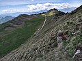 Monte Tombea, la conca pascoliva della Piana degli Stor e il Dosso delle Saette