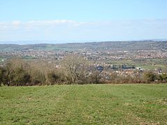 lots of house roofs, with trees and grass in the foreground and hills in the distance.