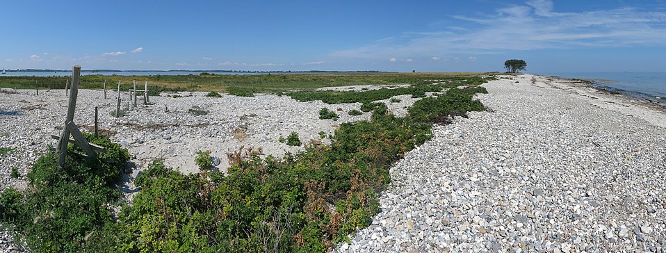 Blick von Schleimünde nach Norden ins Naturschutzgebiet