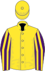 Yellow, Purple and Yellow striped sleeves