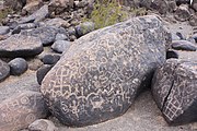 Petroglyphs at the Painted Rock Petroglyph Site.