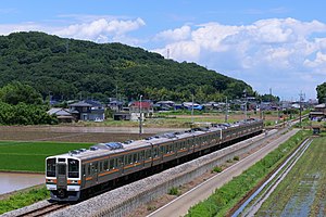 主力車両の211系電車 （大平下駅 - 岩舟駅間 2020年6月）