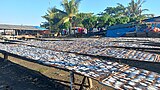 Sardine fish being dried under the Sun in Cavite, Philippines
