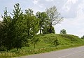 Kutiškiai ancient cemetery on the edge of Sirutiškis