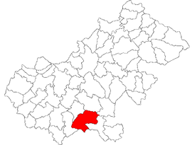 Location in Satu Mare County