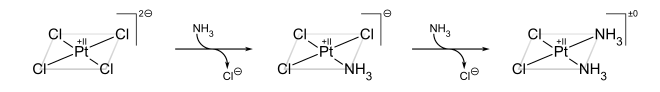 Synthesis of cisplatin using the trans effect