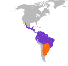 Roxo = distribuição durante o ano inteiro; laranja = distribuição de reprodução