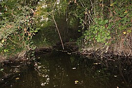 Sortie de la pêcherie.