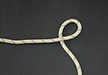 1. Make a half hitch