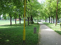 Boulevard of Kulin Ban, near Bilino Stadium polje