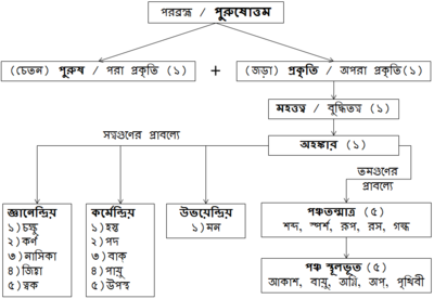 সাংখ্য দর্শনে সৃষ্টিক্রম