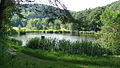 Landschaftsweiher im Sankt Martiner Tal