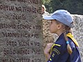 2011 - Young Scout examining the names