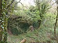 Bois de Mezle : ancienne carrière d'ardoises, bâtiment d'exploitation en ruine.