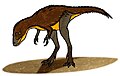 Tyrannosaurus (juvenile)