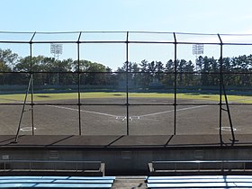 千葉公園野球場バックネット裏から